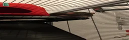 Rat rodents for sale: 2 male rats  in Worcester - Advert 3