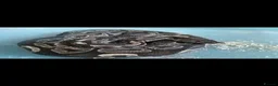 Python Snake reptiles for sale: Royal python in Cambridge - Advert 1