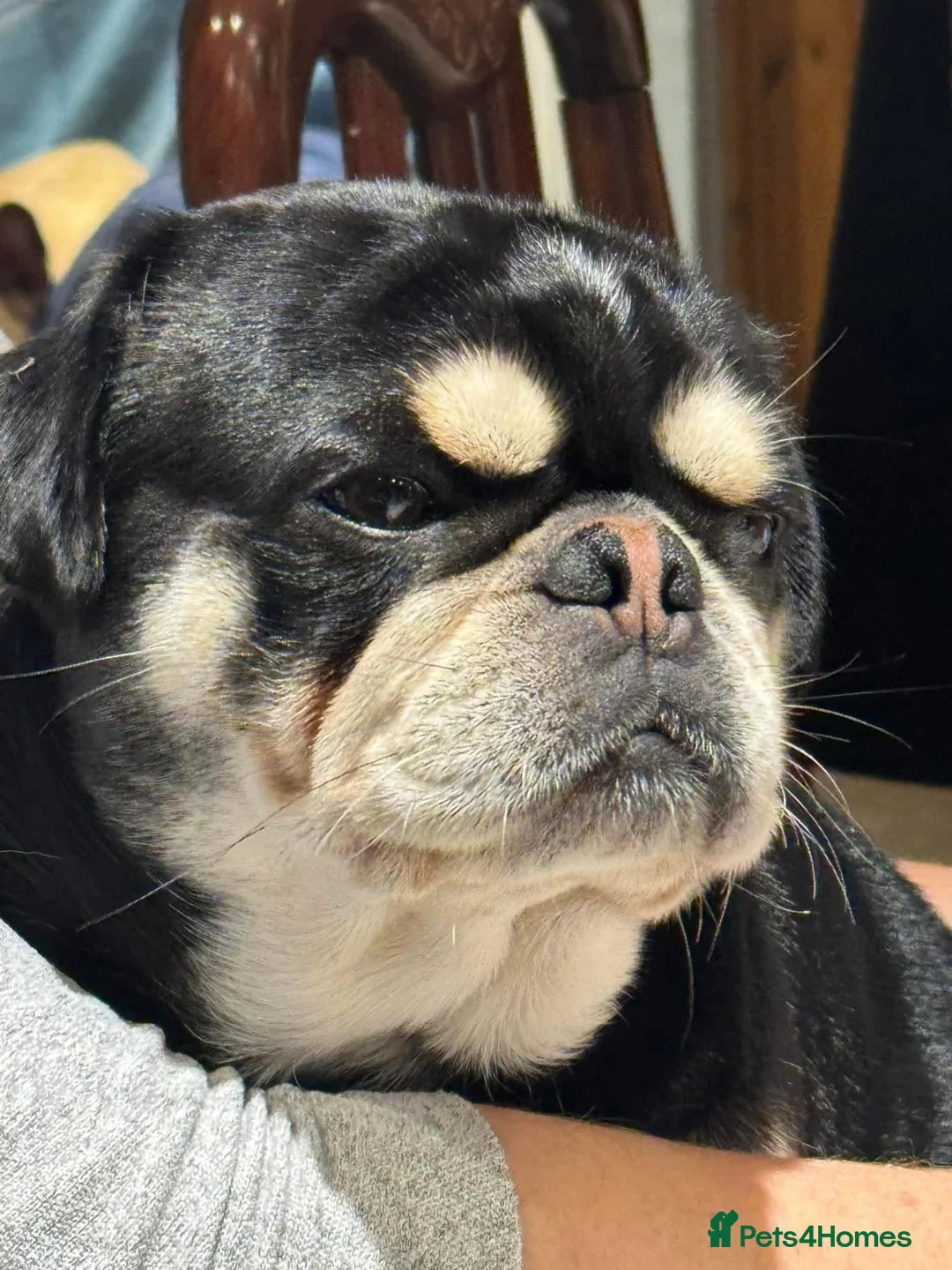 Gallery Image {{count}}