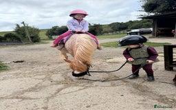 Welsh Section A horses for sale: Toni The Pony 10.3hh Mare 🦄 - Image 24