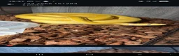Python Snake reptiles for sale: Reticulated pythons  - Advert 1