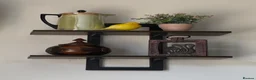 Canaries birds for sale: Canary & cage with stand  - Advert 3