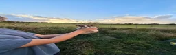 Jack Russell dogs for sale: Old fashion type Miniature jack russell puppies - Advert 32
