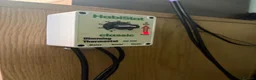Leopard Gecko reptiles for sale: Mack snow leopard gecko  - Advert 8