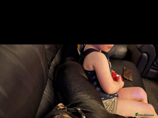 Mixed Breed dogs Puppy for sale - Advert 1