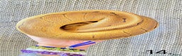 Python Snake reptiles for sale: Ball python collection - Advert 3