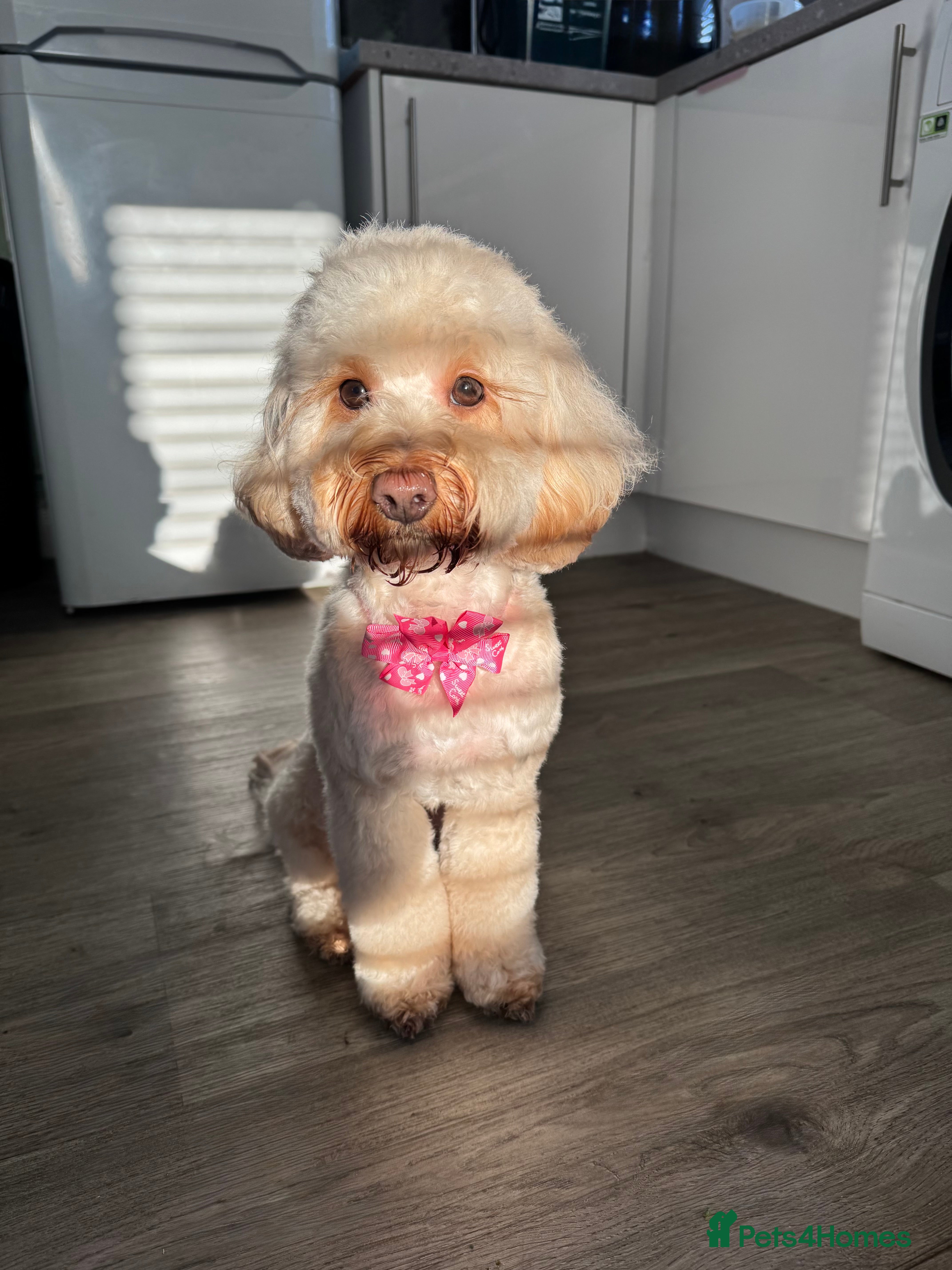 Winnie