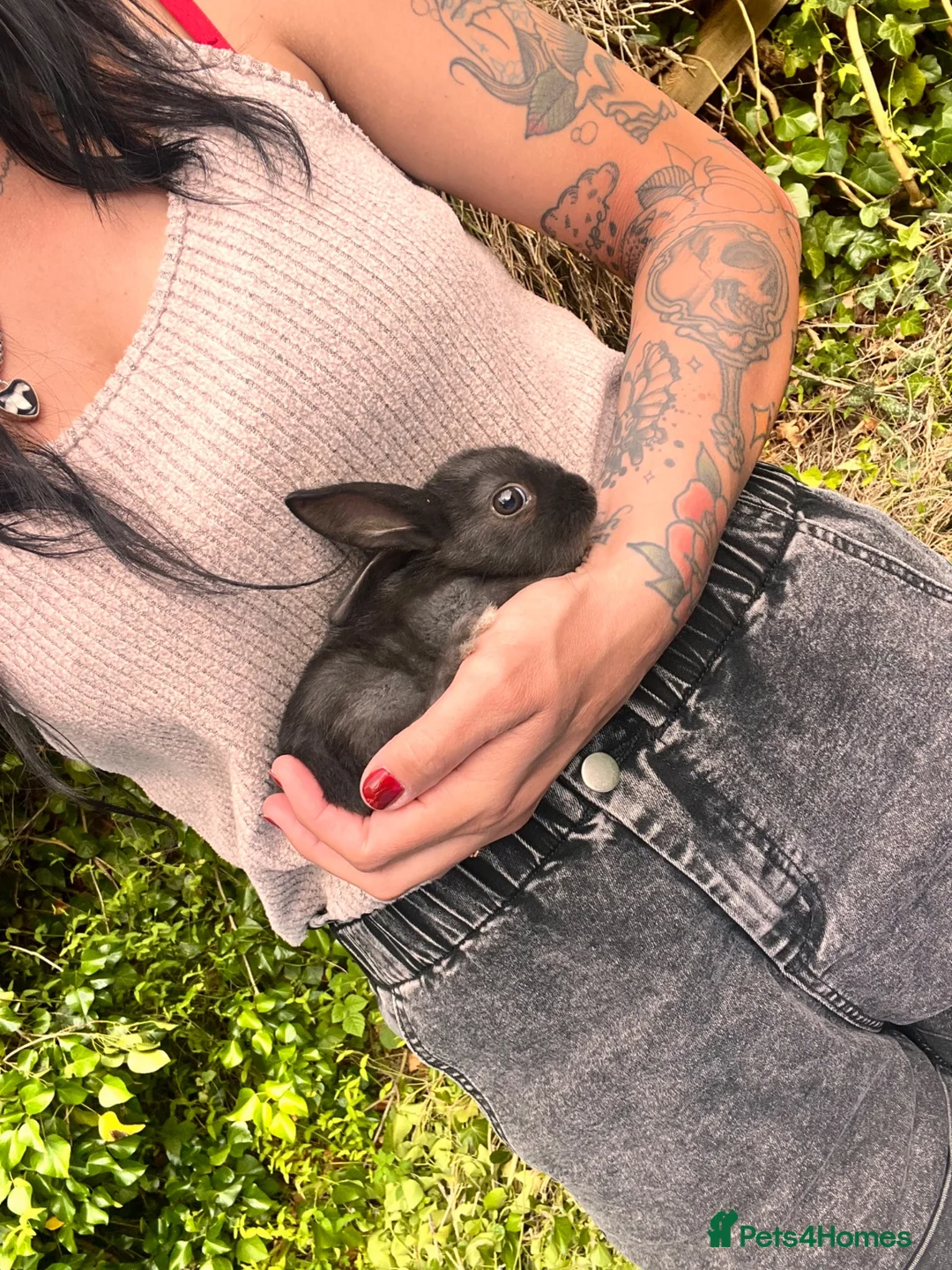 Mixed Breed rabbits for sale: Mixed bunnies  - Advert 1