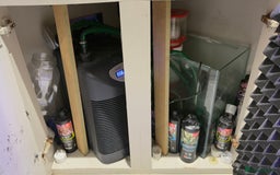 Other/Mixed Breed fish for sale:  600L Full Reef System With Fish & Corals - Image 5