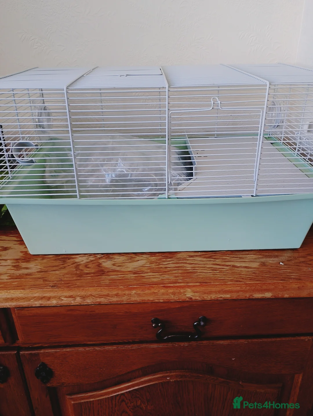 Hamster rodents for sale: 2 brilliant hamster cages - Advert 2