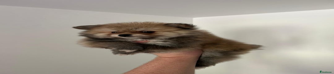 Boy 1
