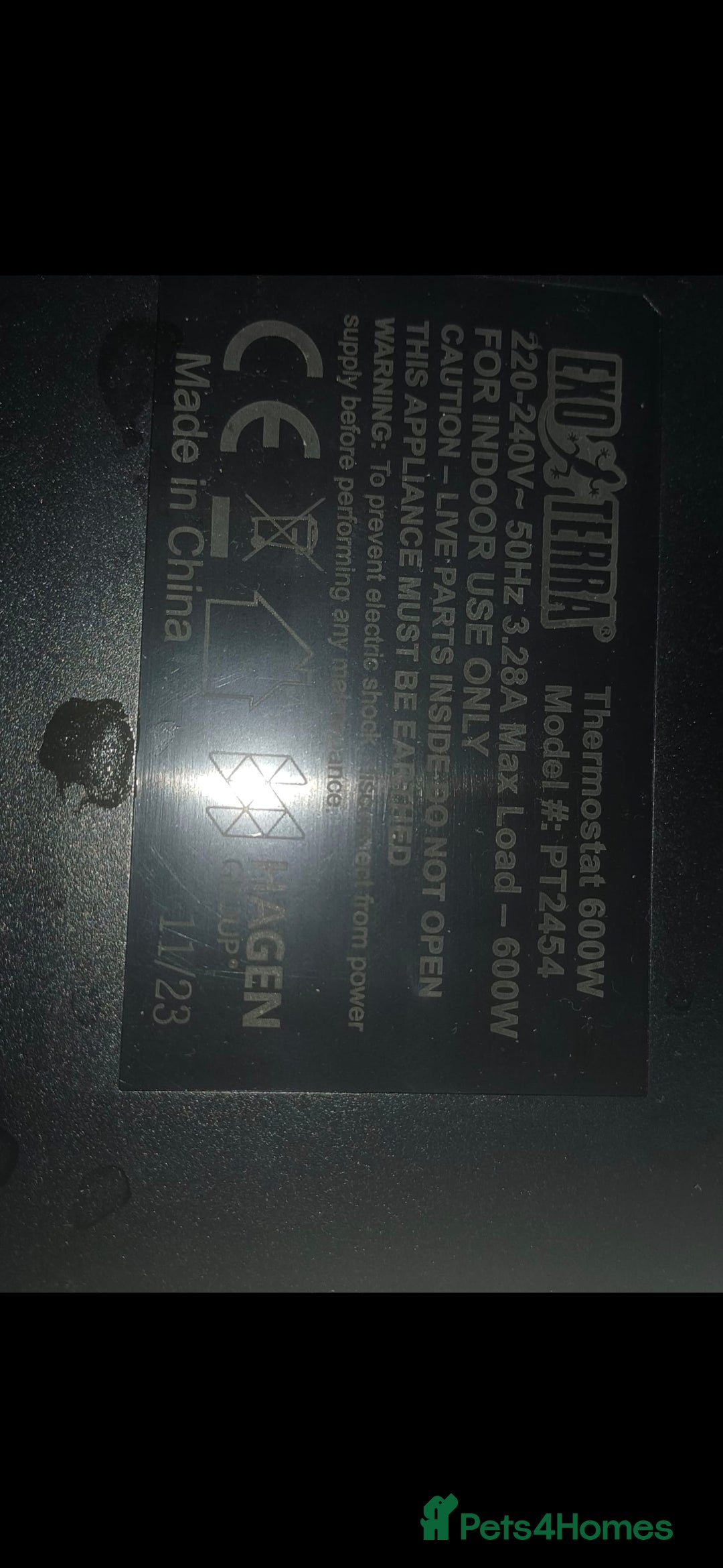 Bearded Dragon reptiles for sale: Bearded dragon with full vivarium set-up  - Advert 6