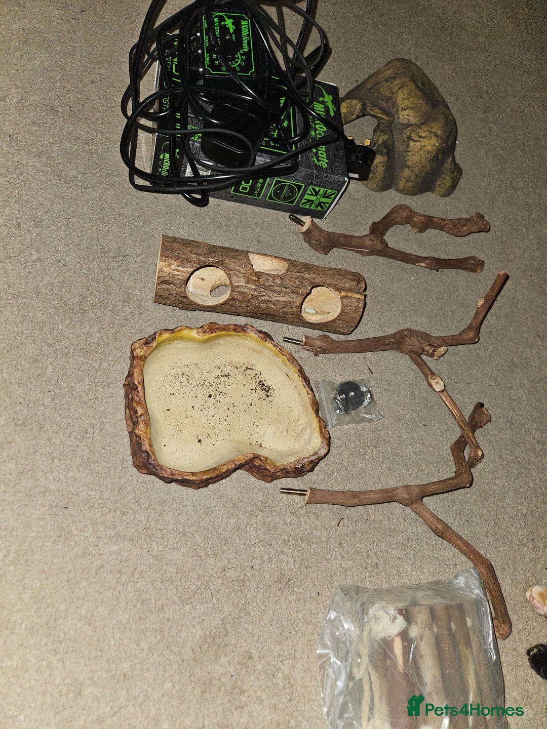 Python Snake reptiles for sale: Python snake + viv/set up - Image 5