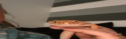 Leopard Gecko reptiles for sale: Leopard gecko  in Eastleigh - Advert 4