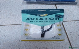 Macaws birds for sale: Blue & Gold Macaw For Sale - Image 28