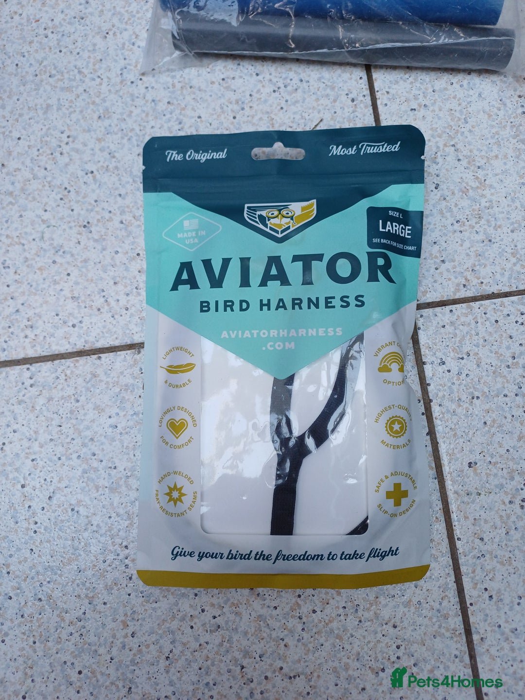 Macaws birds for sale: Blue & Gold Macaw For Sale - Image 28