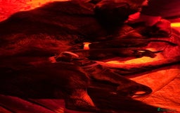 German Shepherd dogs for sale: German Shepherd's from DDR and Czech bloodlines.  - Image 2