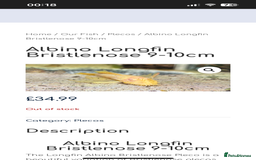 Cichlids fish for sale: 420l tank set up, loads of tropical fish - Image 11