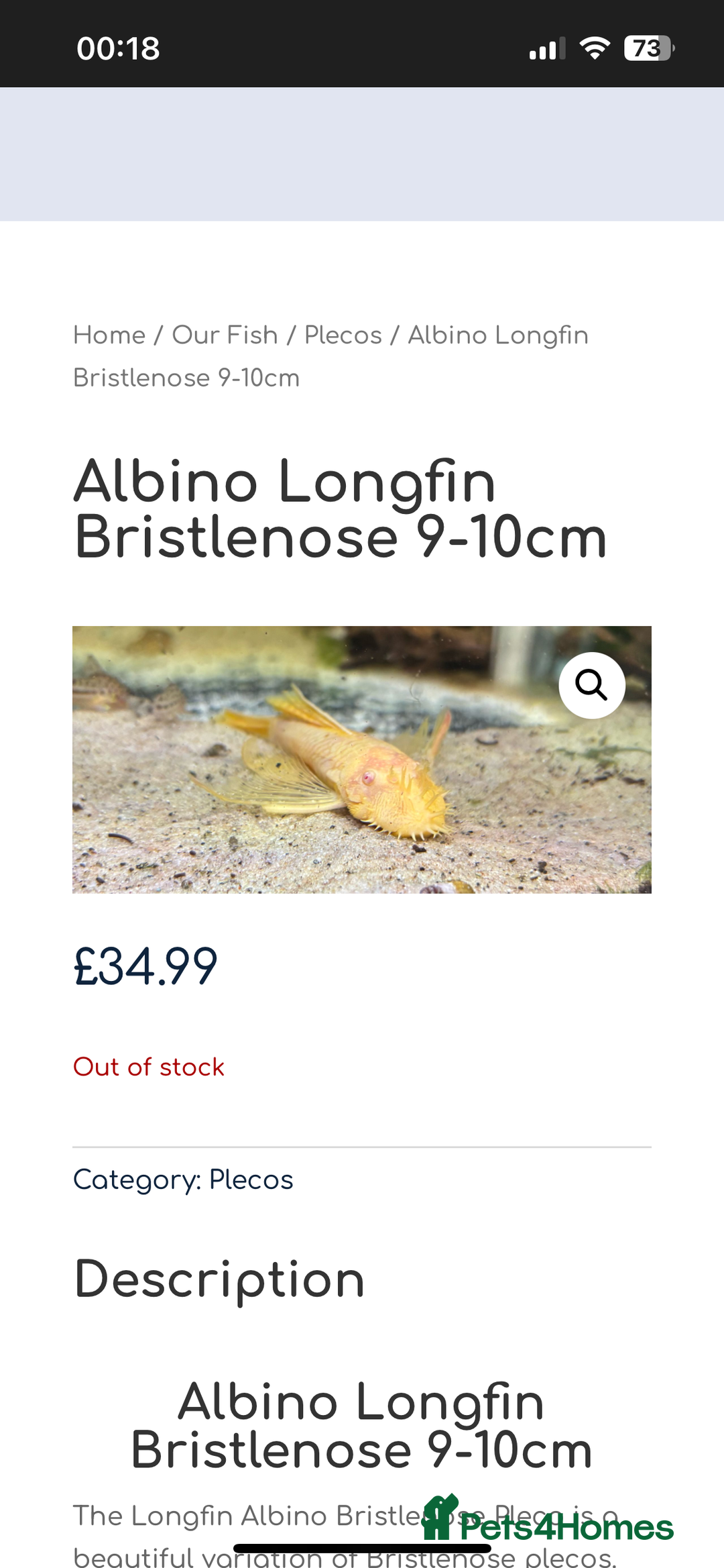Cichlids fish for sale: 420l tank set up, loads of tropical fish - Image 11
