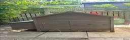 Chickens poultry for sale: 5 Chickens & Coop  - Advert 2