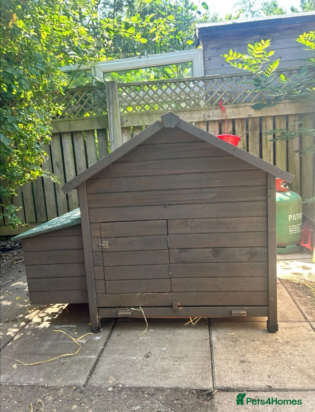 Chickens poultry for sale: 5 Chickens & Coop  - Advert 2