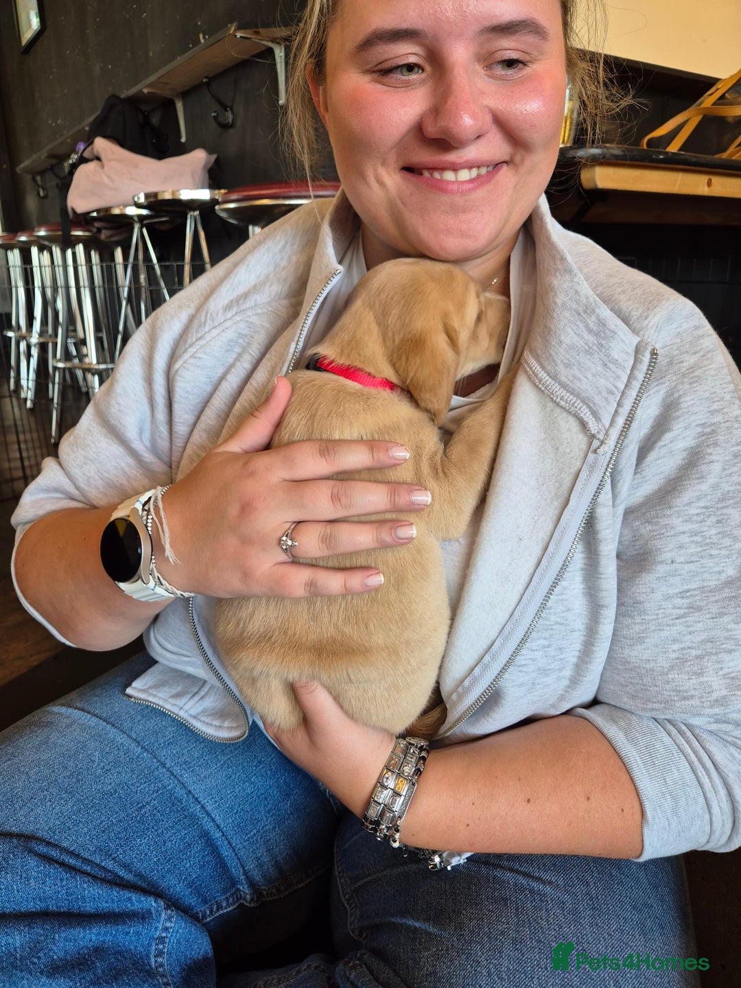 Labrador Retriever dogs for sale: Beautiful Lab Pups Looking for Loving Homes  - Image 3