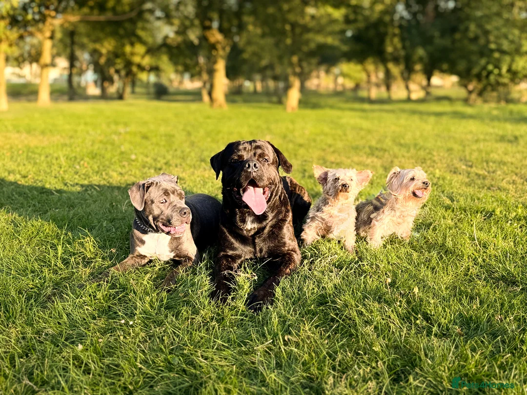 Gallery Image {{count}}