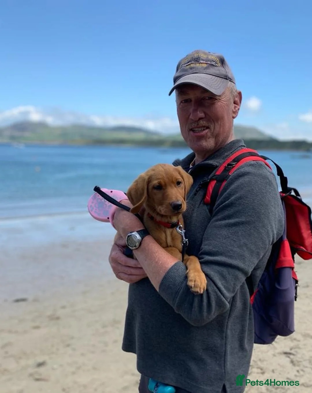 Gallery Image {{count}}