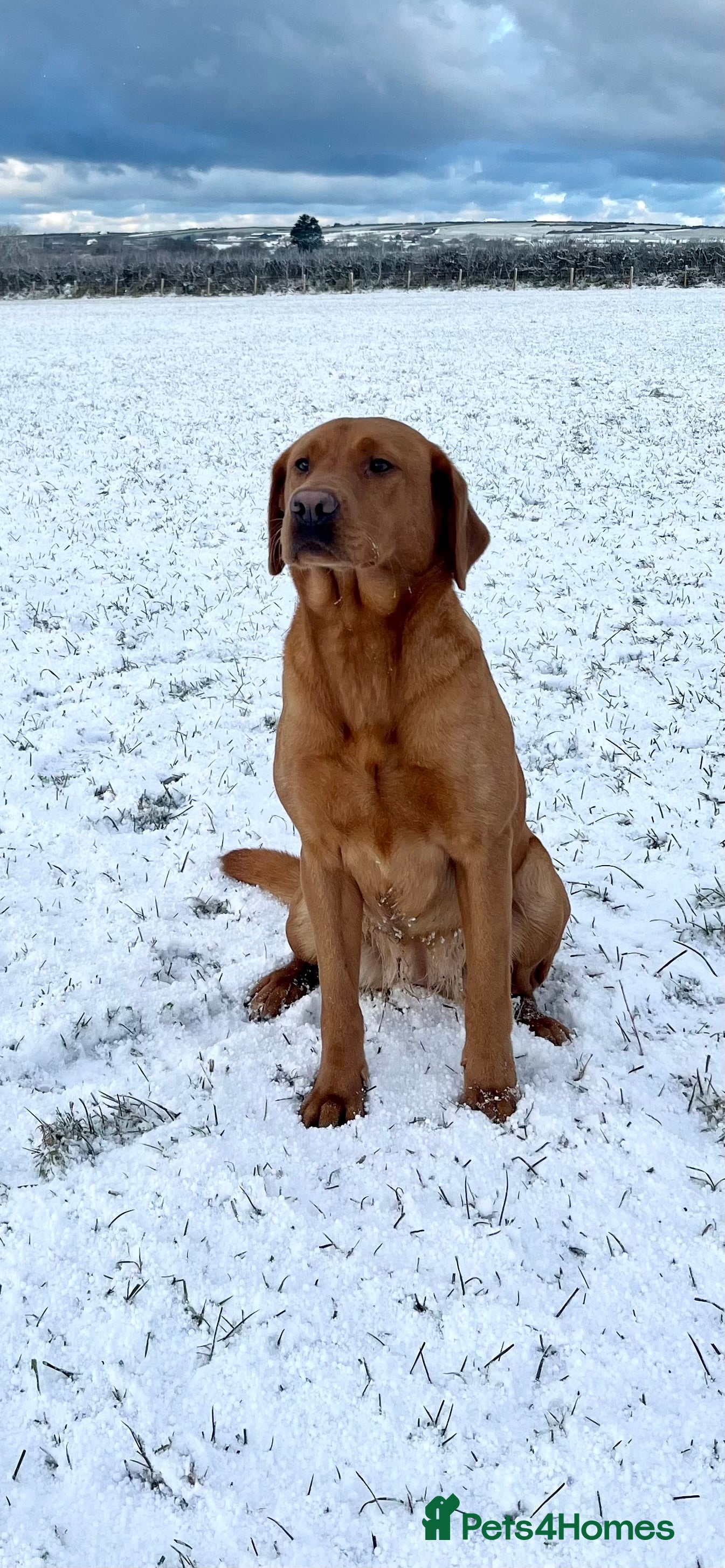 “Our girl Meg” (Mali)