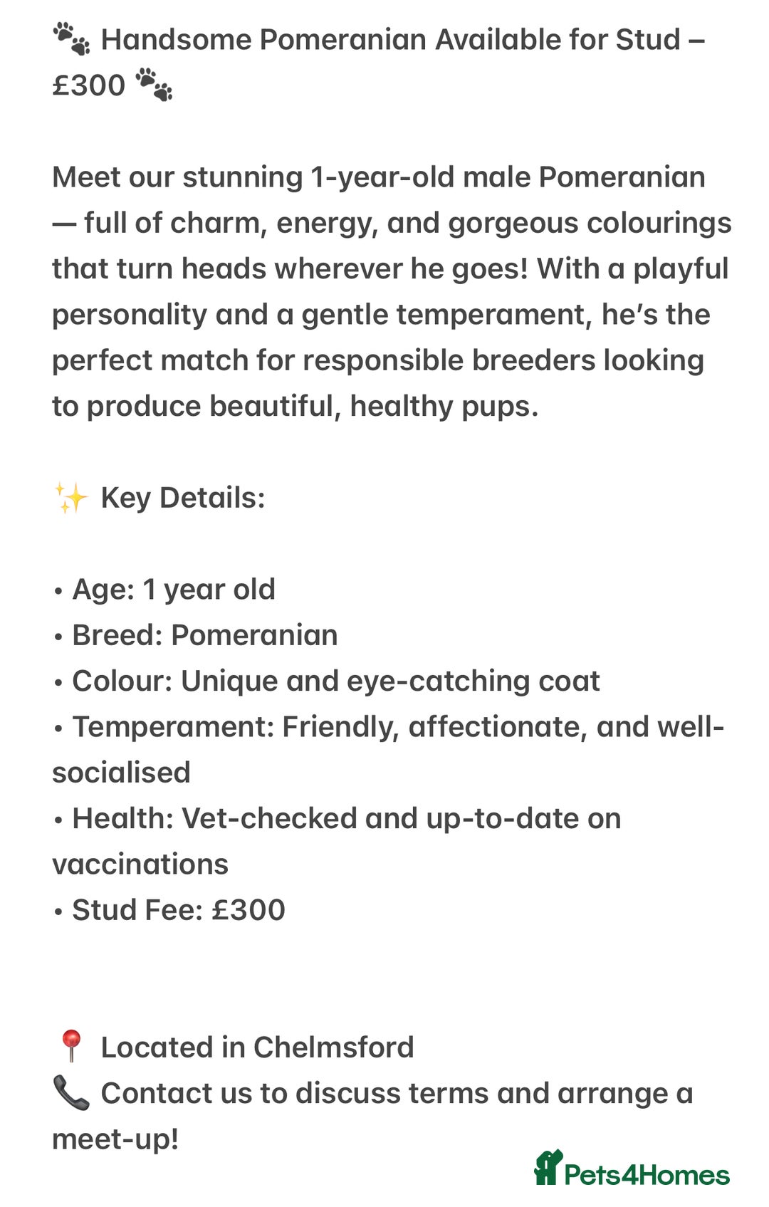 Pomeranian dogs for stud: Pomeranian Stud 1yr - Image 11