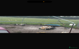 Ducks poultry for sale: Call Ducks  - Advert 2