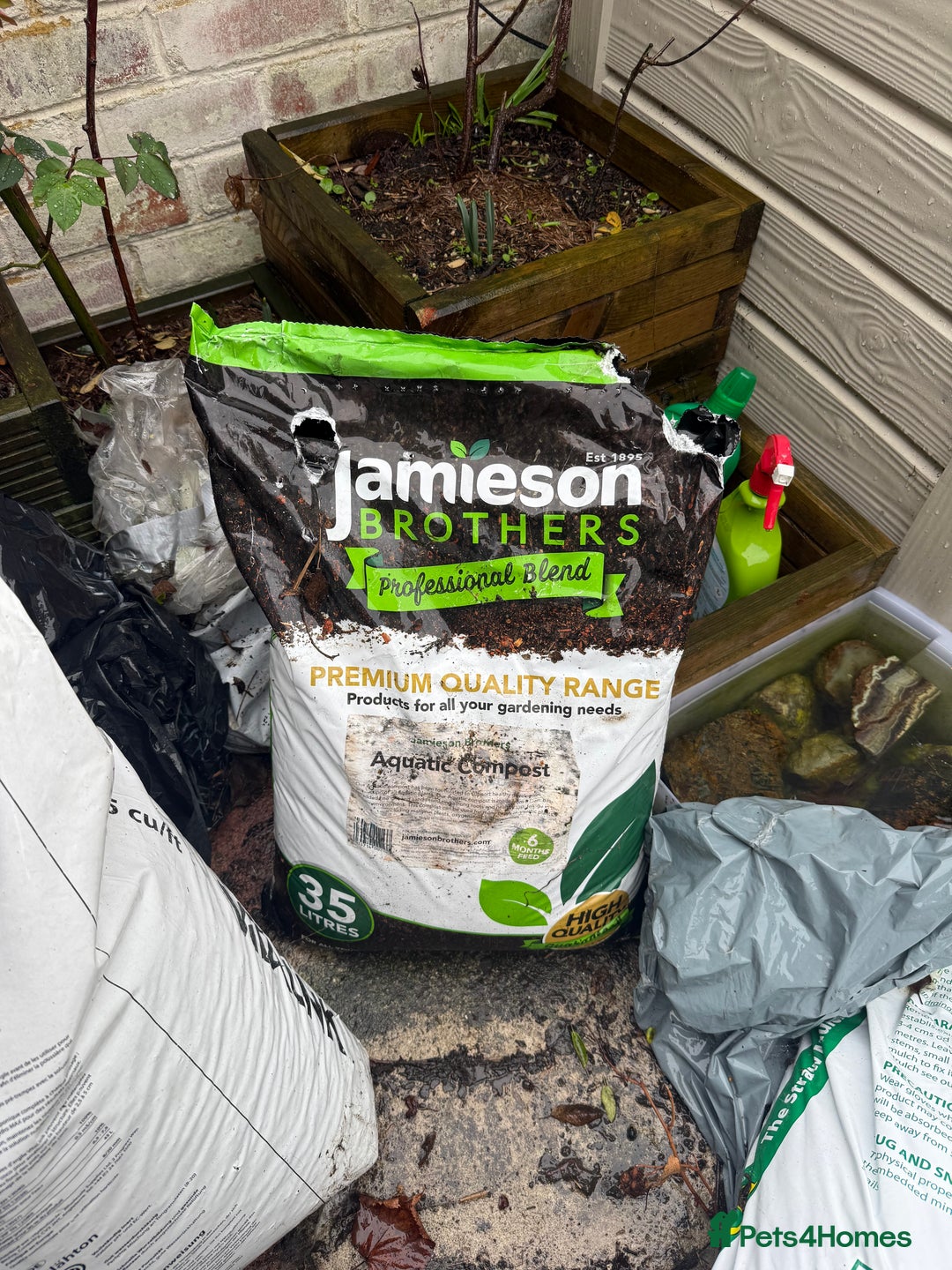 Koi Carp fish for sale: 3 Koi Carps with Blagdon Affinity Corner Grand - Advert 13