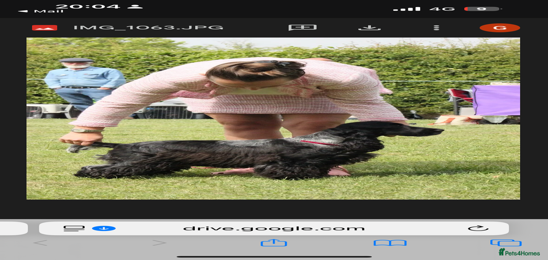 Gallery Image {{count}}