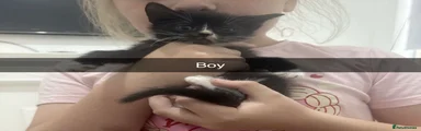 Mixed Breed 3