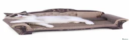 Ragdoll cats for sale: 💙seal bi colour ragdoll💙 - Advert 1