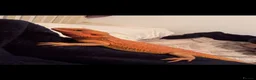 Bearded Dragon reptiles for sale: Female beardie  - Advert 2