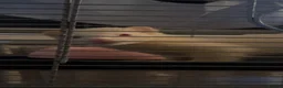 Ferret rodents for sale: 2 beautiful female ferrets  in Derby - Advert 1