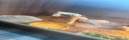 Bearded Dragon reptiles for sale: Male beaded dragon age 2  in Leeds - Advert 2