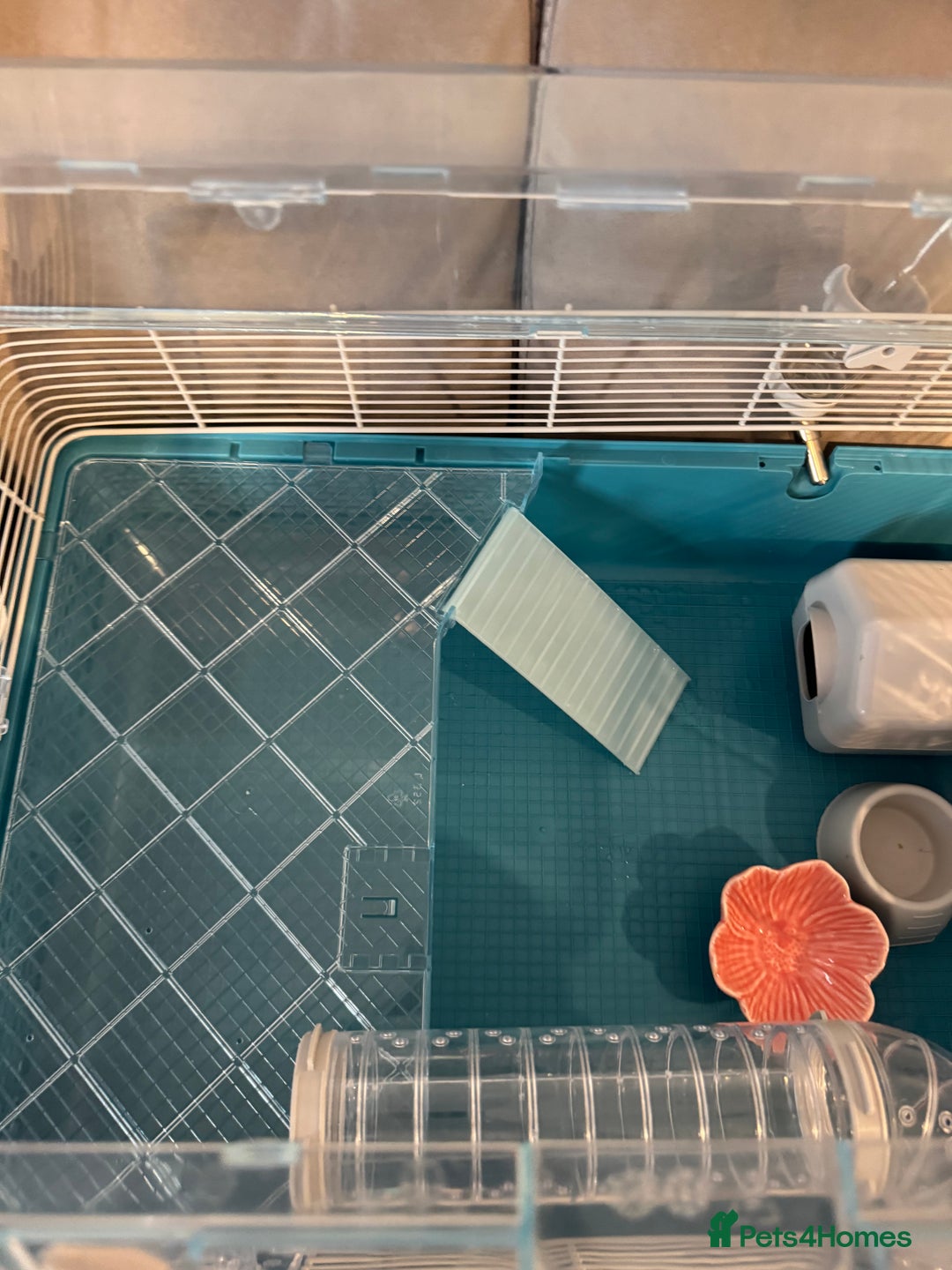 Hamster rodents for sale: Hamster cage set up with everything u need - Image 11