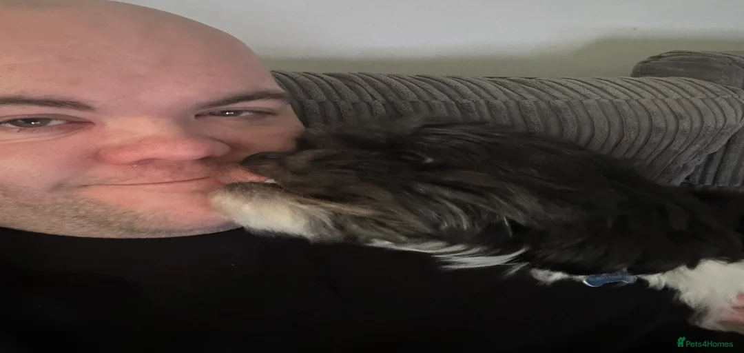 Gallery Image {{count}}