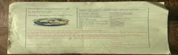 Tortoise reptiles for sale: Horsefield tortoise(s) for sale in Stirling - Advert 4