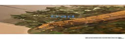 Boa Snake reptiles for sale: Baby boa constrictors for loving homes - Advert 13