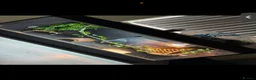 Bearded Dragon reptiles for sale: Bearded dragons-red monster/blue bar & Translucent - Advert 4