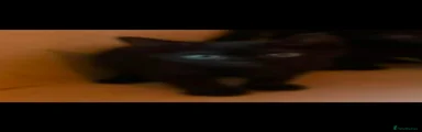 Domestic Shorthair 4