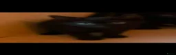 Domestic Shorthair cats for sale: Black Kittens For Sale  - Advert 2