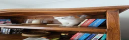 British Shorthair cats for sale: ​Rare Female BSH Kittens: Pedigree Parents Only  - Advert 20