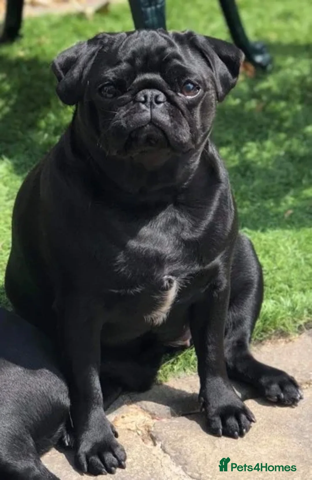 Gallery Image {{count}}