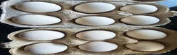 Chickens poultry for sale: Mixed Pekin Bantam eggs - Advert 1