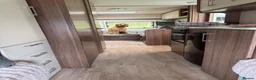 Goldendoodle dogs for sale: 8 month old Goldendoodle  - Advert 6