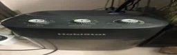 Frog reptiles for sale: Three Dart frogs full setup in Winscombe - Advert 2